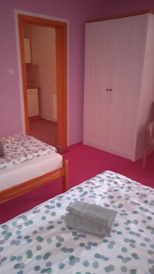 Ubytovani V Soukromi Na Podluzi Josefov Exterior photo